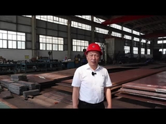 Caco3 Horizontale 300 ton per dag rotatieoven voor verkalking